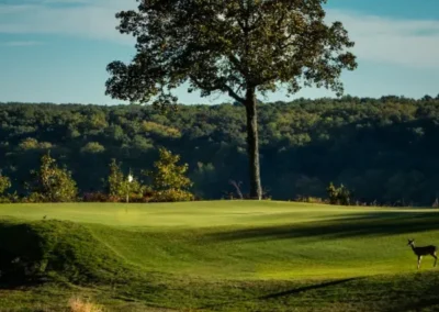 the course at sewanee 31