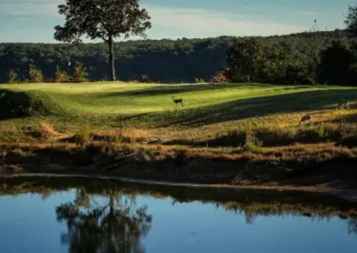 the course at sewanee 32